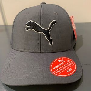 Puma Flex Fit Men’s L/Xl Hat Gray
